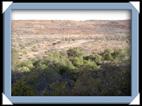 photo Bush Camp Waterberg okakarara Namibie