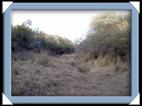 photo Bush Camp Waterberg okakarara Namibie